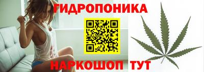 тгк Краснодар