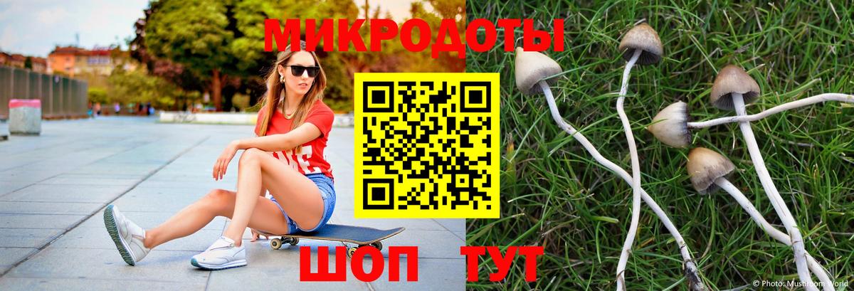 Галлюциногенные грибы GOLDEN TEACHER  Вход с VPN  Кимовск 