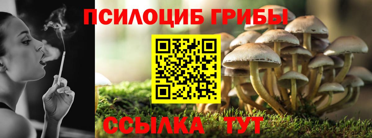 Псилоцибиновые грибы Psilocybine cubensis Кимовск